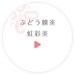 ぶどう膜炎虹彩炎